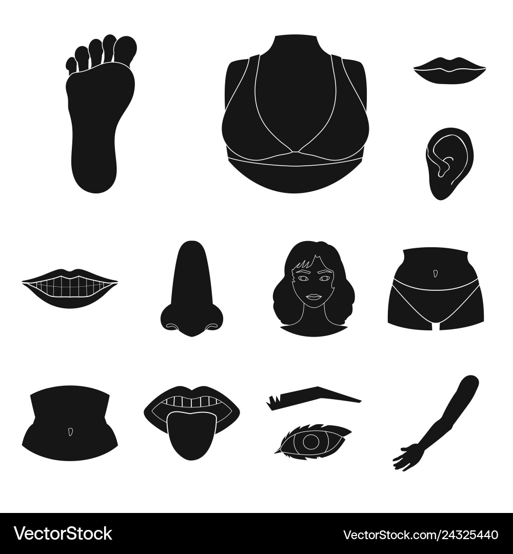 Design of body and part icon set Design of body and part icon set Vector Image