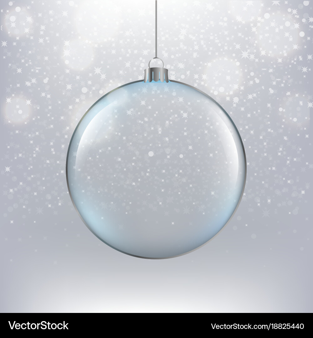 Shiny Christmas Ornament Vector Image