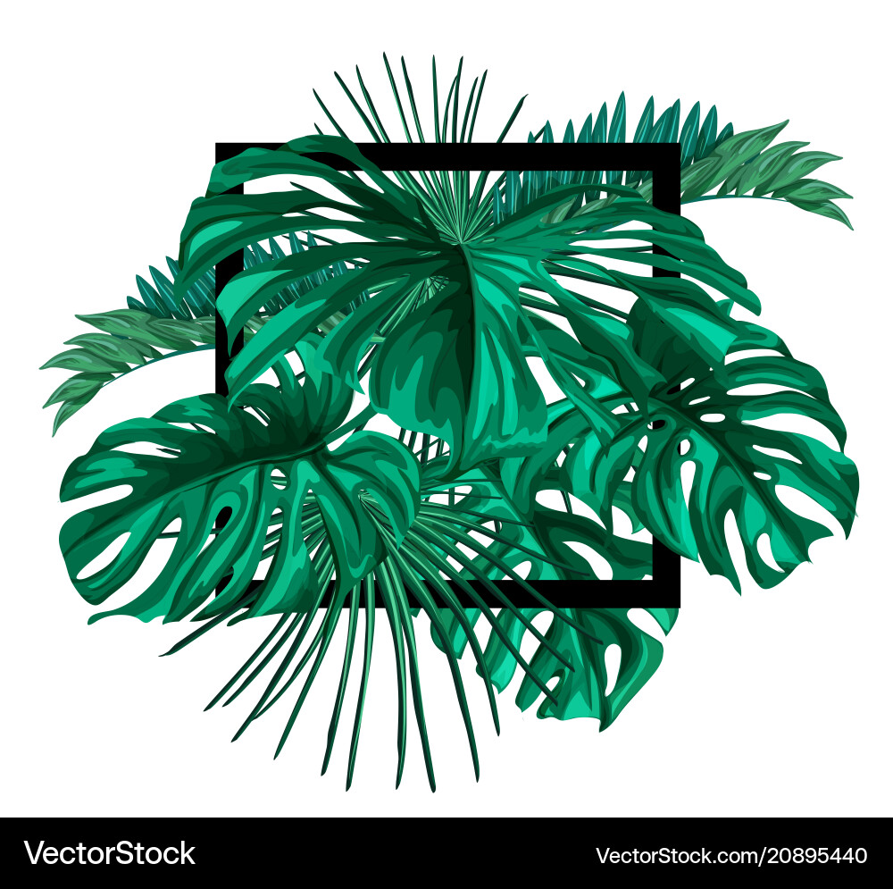 Tropical exotic leaves summer banner Tropical exotic leaves summer banner vector image