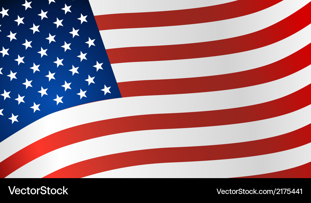 Stars and Stripes Flag Vector Image