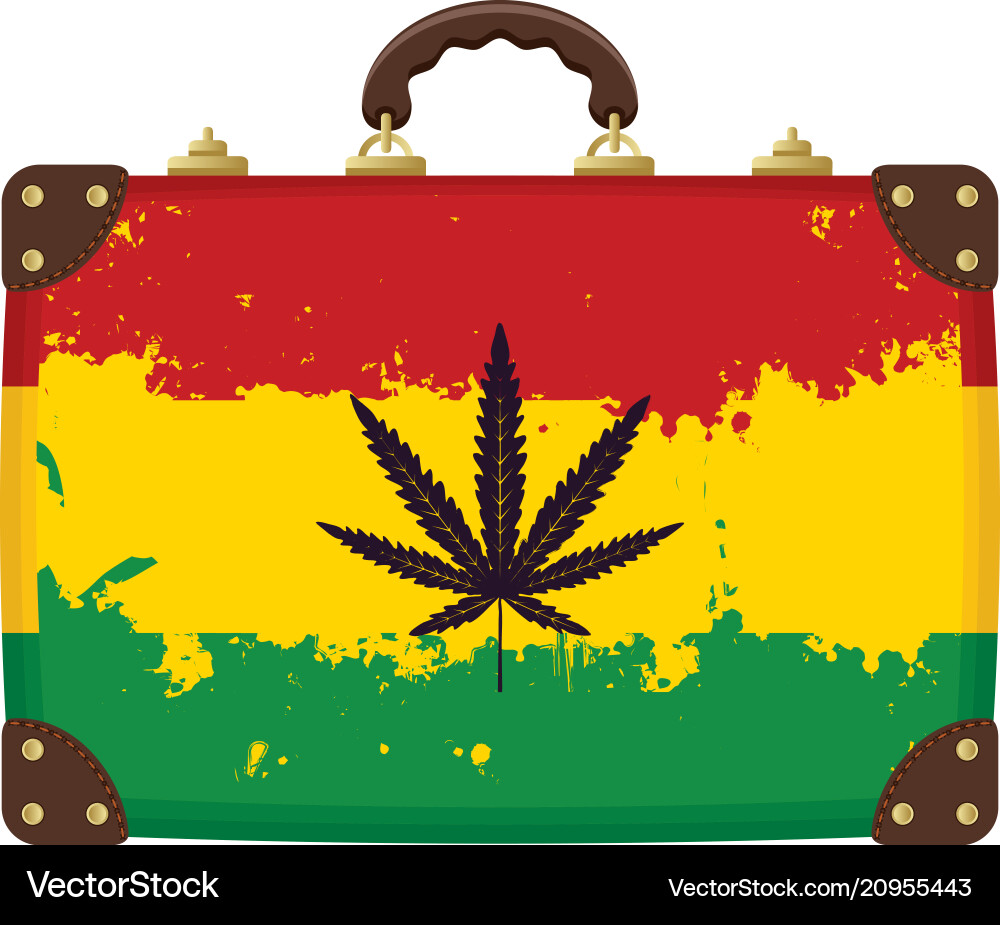 Suitcase with rasta flag pattern Suitcase with rasta flag pattern vector image