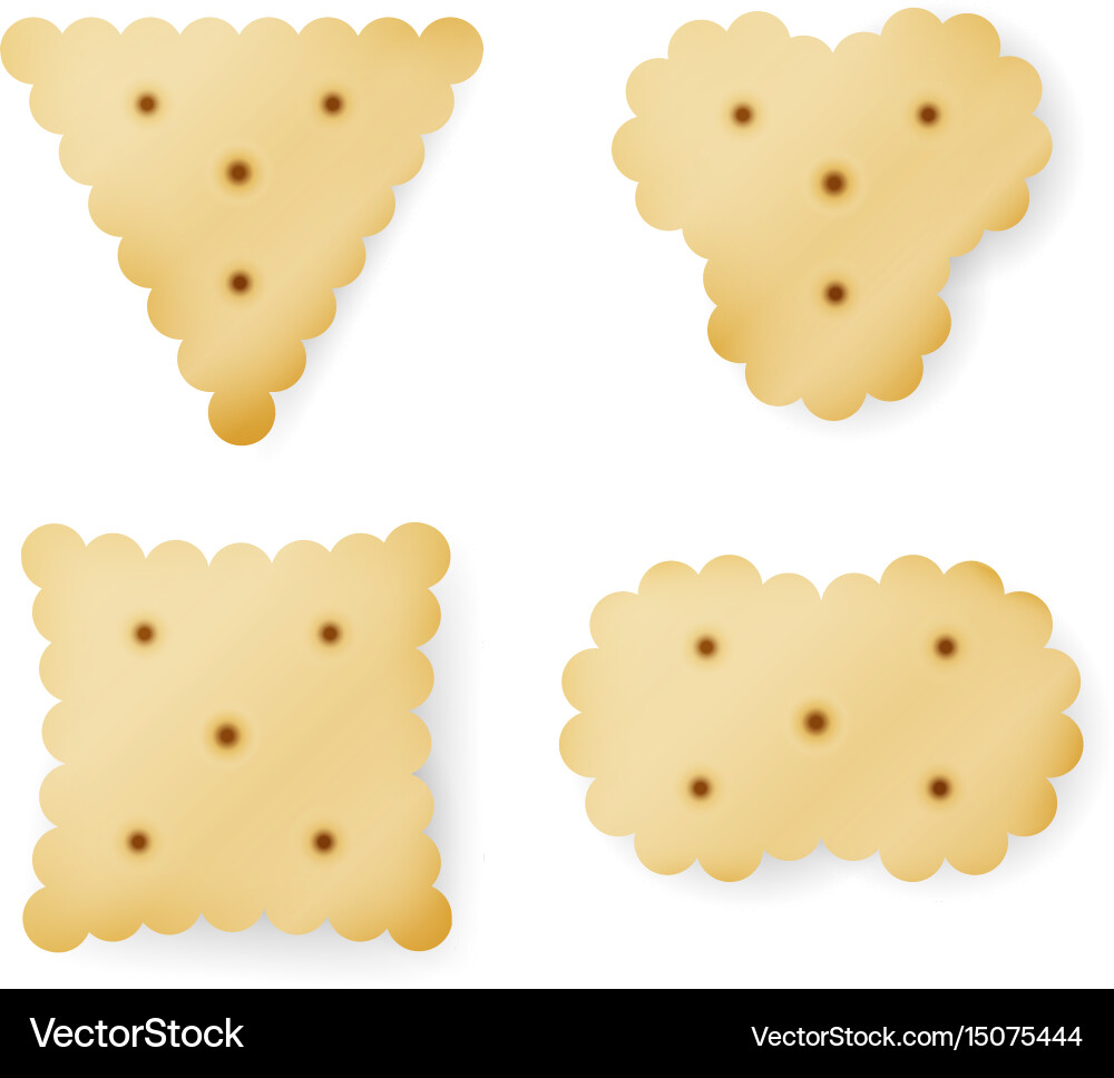 Cracker in different shapes yellow cookie Vector Image