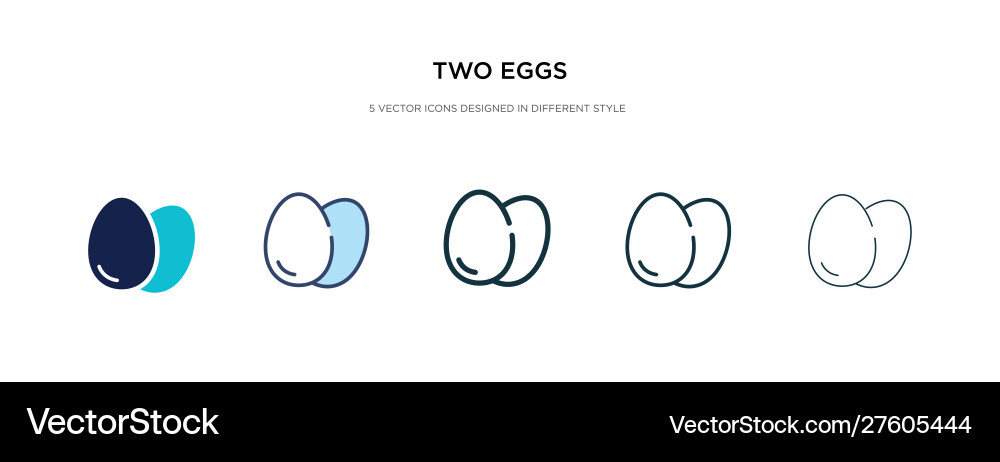 Two Eggs in Multiple Styles Vector Image