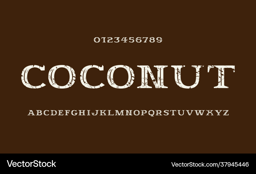 Decorative serif font with inner contour vector image