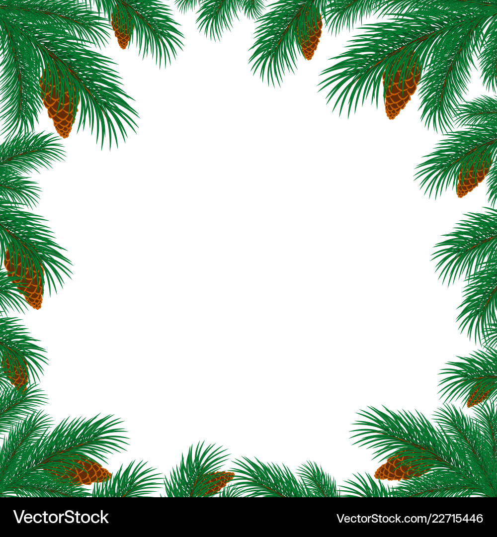 Frame with branches of spruce Vector Image