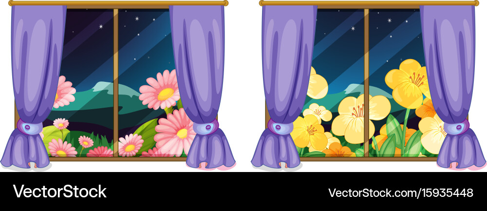 Two views from the windows Vector Image