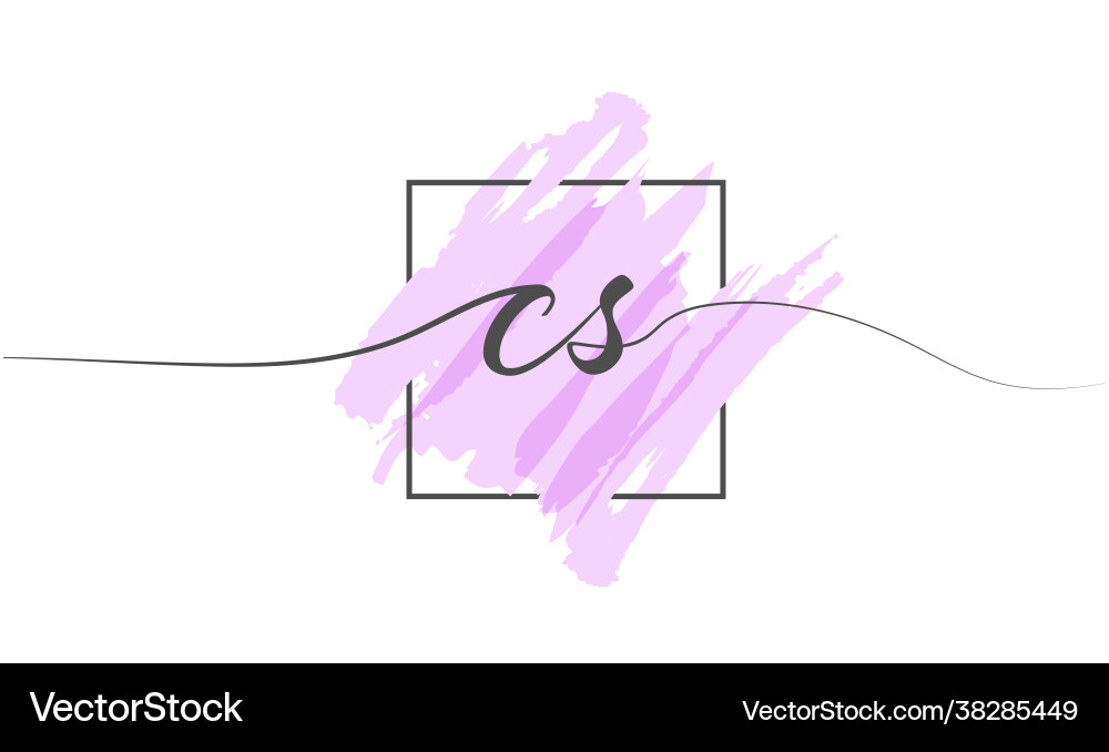 Calligraphic lowercase letters cs in a single Vector Image