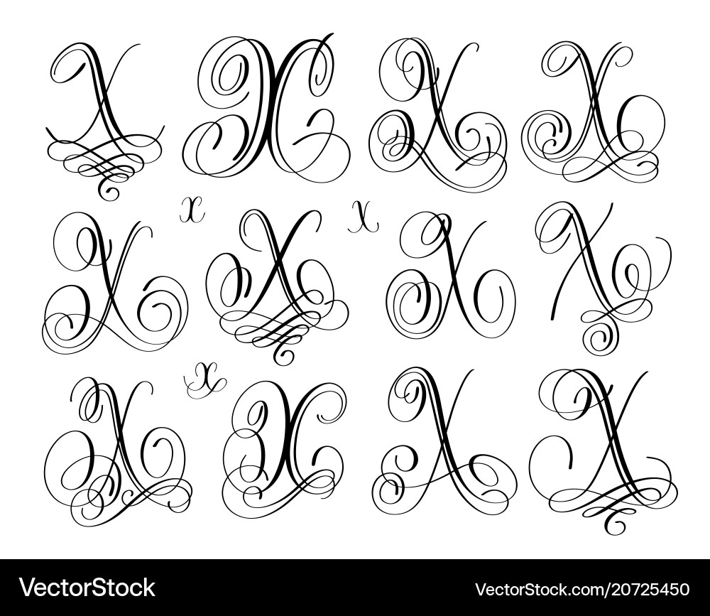 Calligraphy lettering script font x set hand vector image