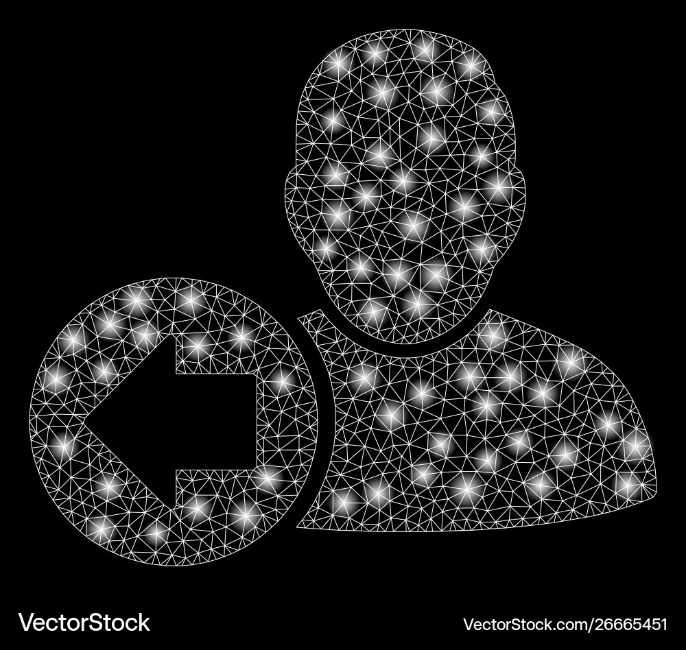 Glossy mesh carcass previous user with flash spots vector image