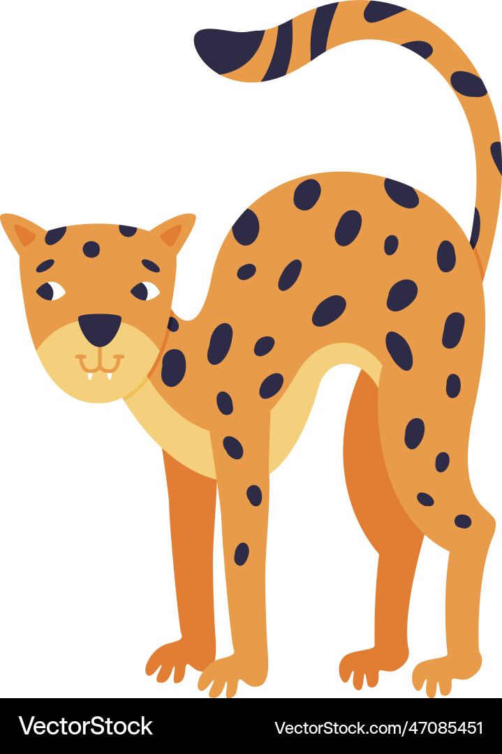 Süße Baby Leoparden bogen seine zurück schöne wild Süße Baby Leoparden bogen seine zurück schöne wild Vektorbild