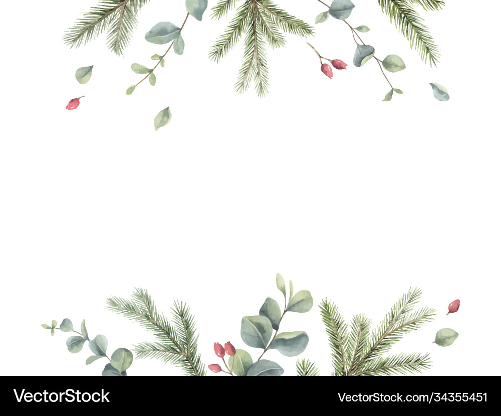 Watercolor Christmas Fir Card vector image