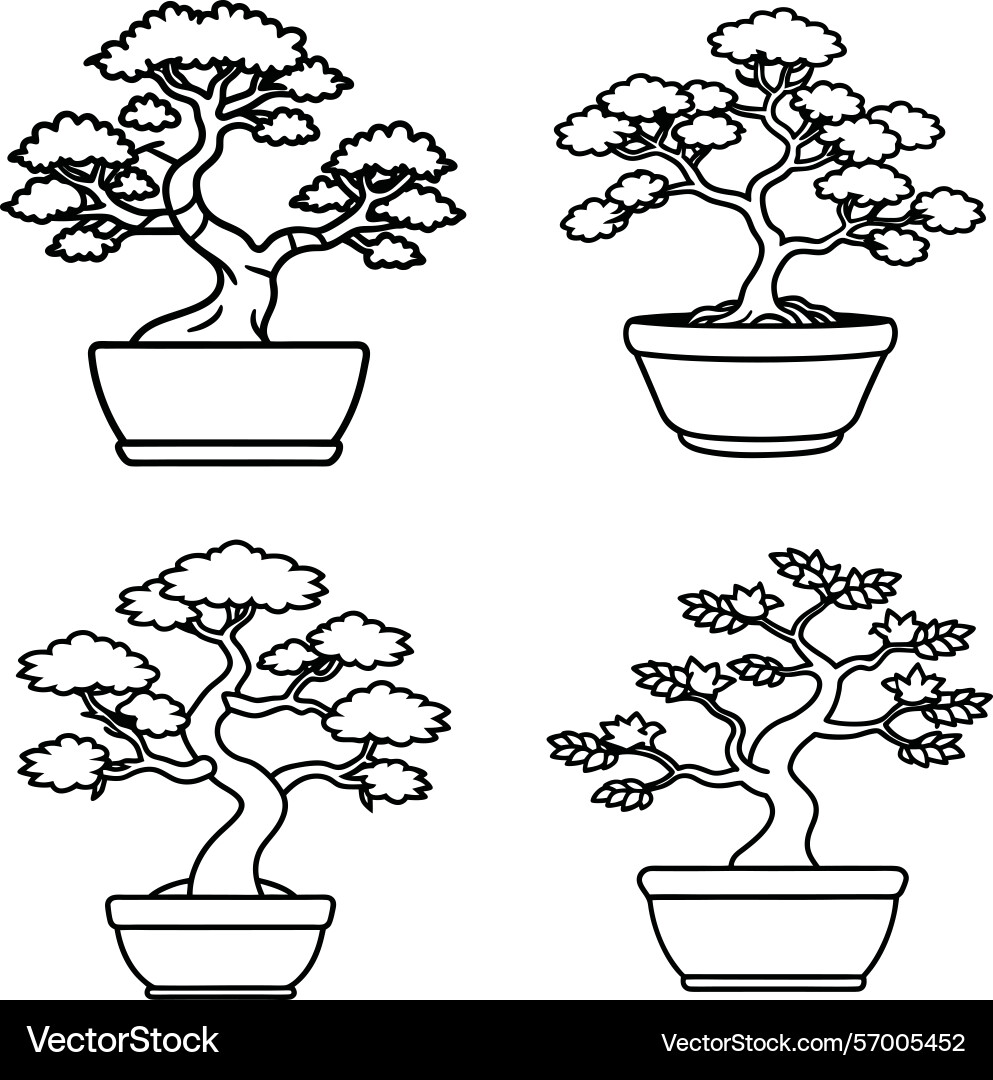 Simple featuring four distinct bonsai trees Vector Image