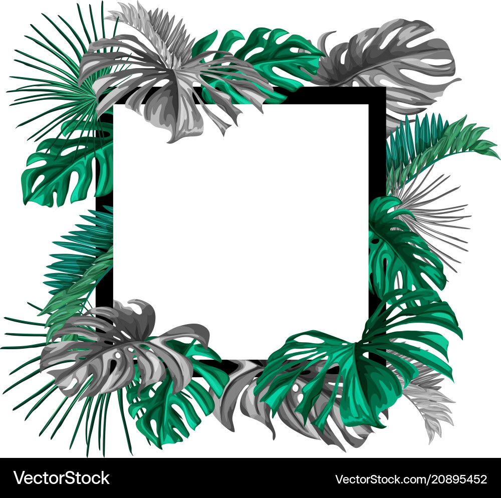 Tropical Summer Leaves Banner Vector Image