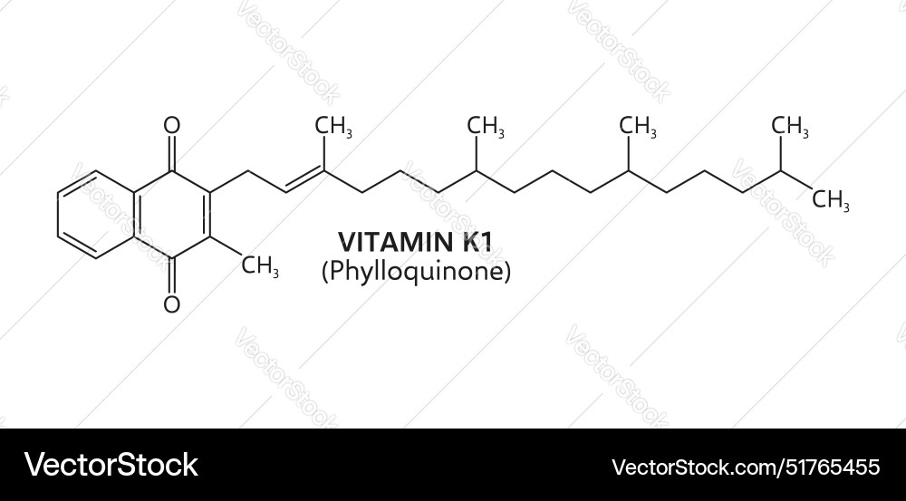 Vitamin k1 oder Phyllochinonformel Lizenzfreies Vektorbild