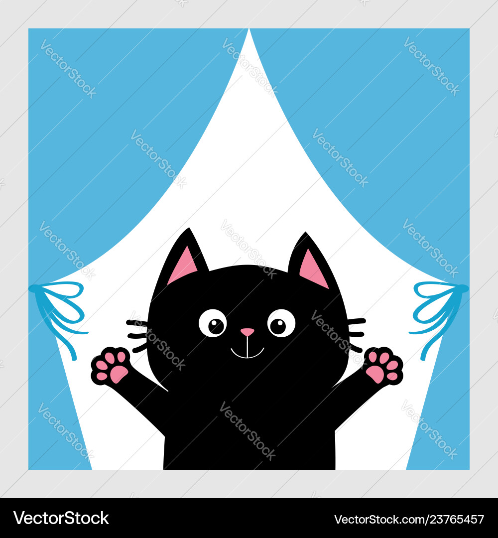 Black cat in the window curtain with bow open Vector Image