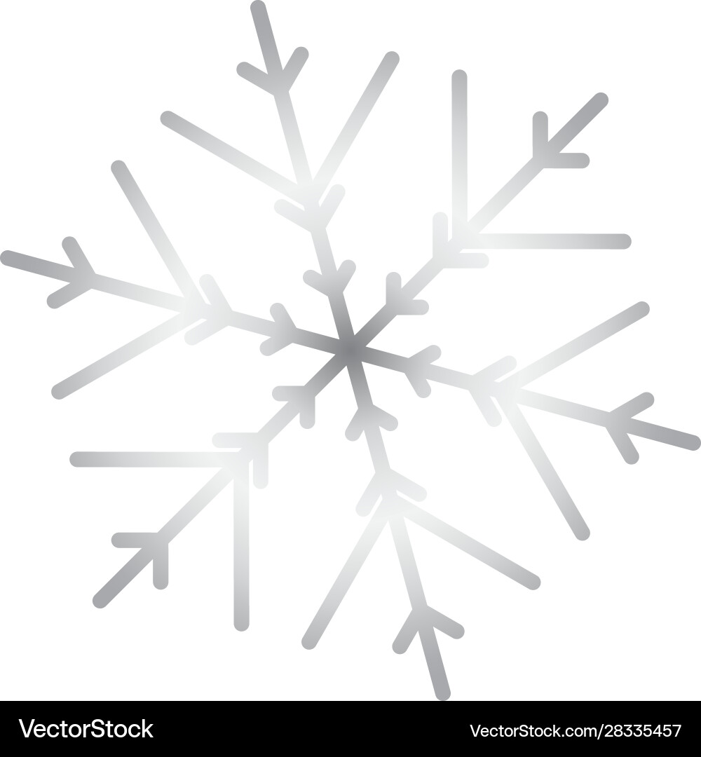 Snowflake icon for web Vector Image