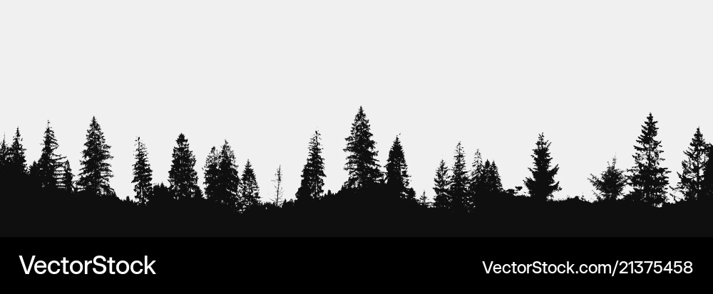 Forest background Royalty Free Vector Image - VectorStock