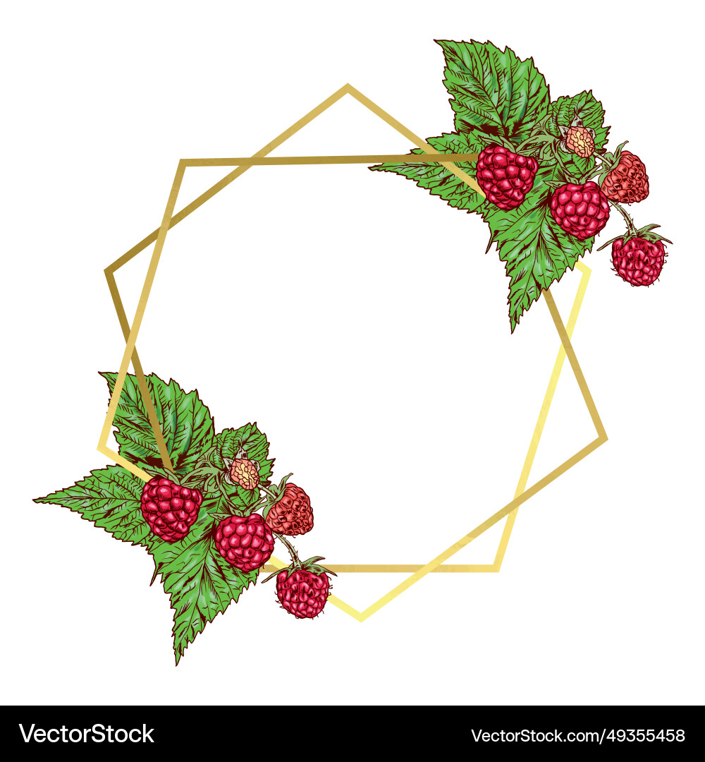 Golden frame with raspberry branches Golden frame with raspberry branches Vector Image