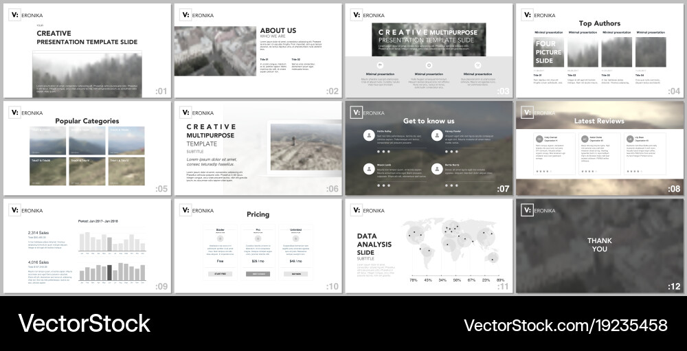 Modern Minimal Presentation Slides vector image