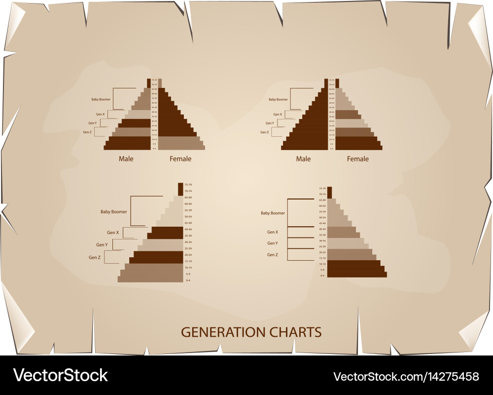 Population pyramids graphs with 4 generation Vector Image