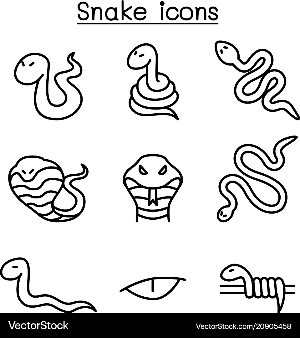 Snake icon set in thin line style Snake icon set in thin line style vector image