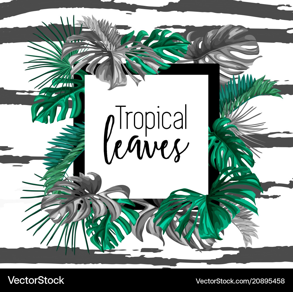 Tropical exotic leaves summer banner Tropical exotic leaves summer banner vector image