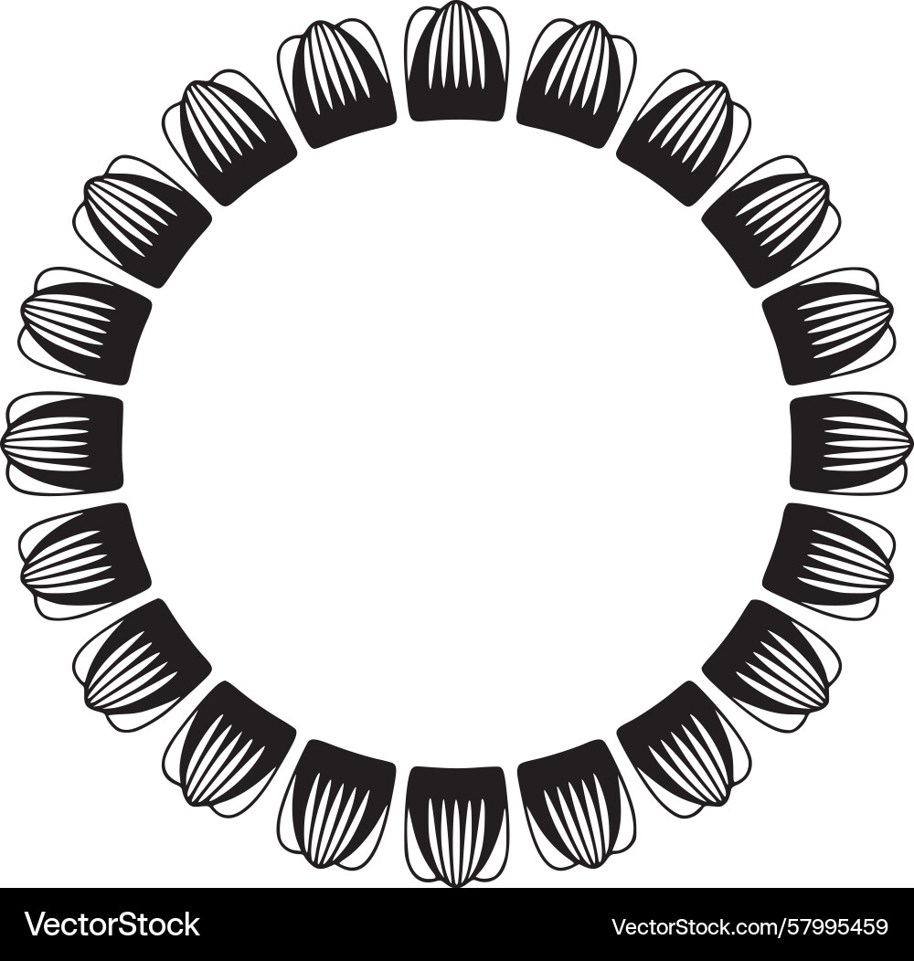 Shell Border Pattern Vector Image