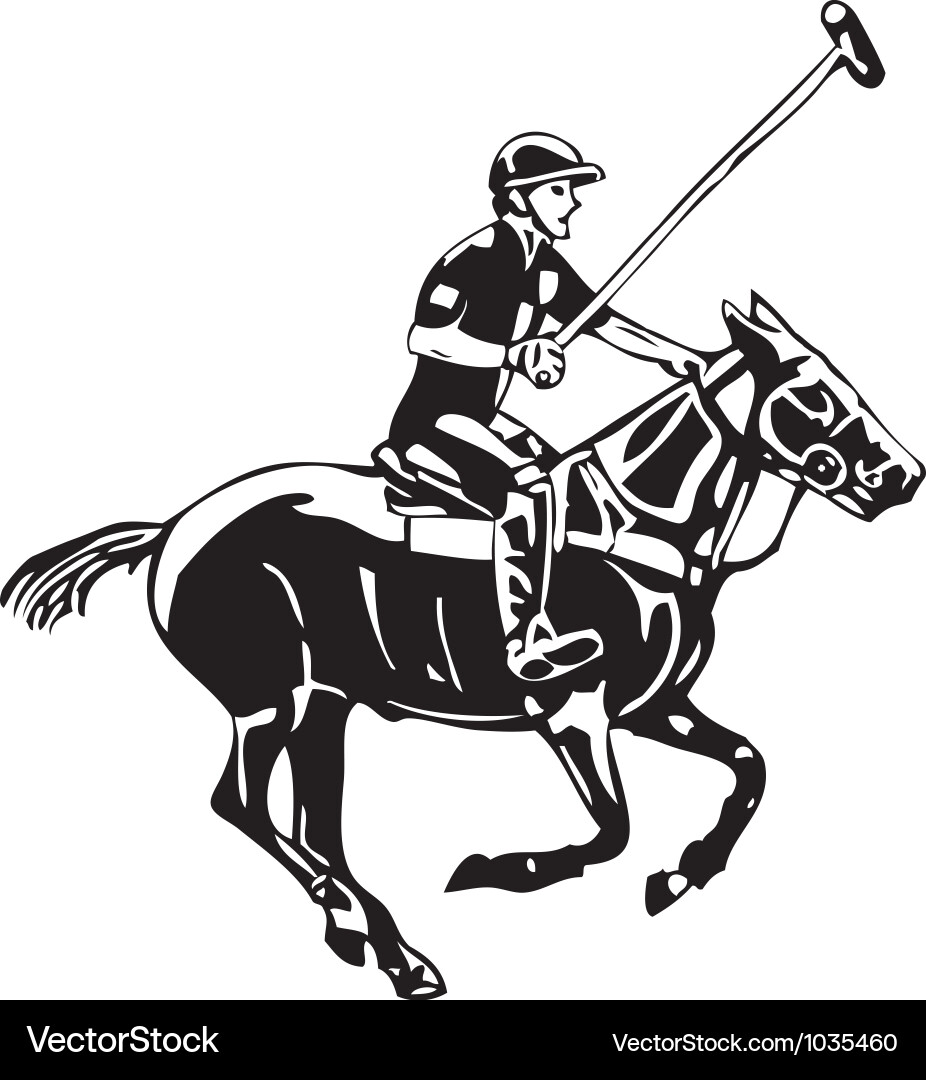 Polo Horse Rider Vector Image