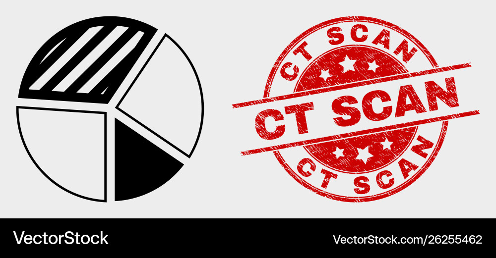 Pie chart icon and scratched ct scan stamp Pie chart icon and scratched ct scan stamp Vector Image