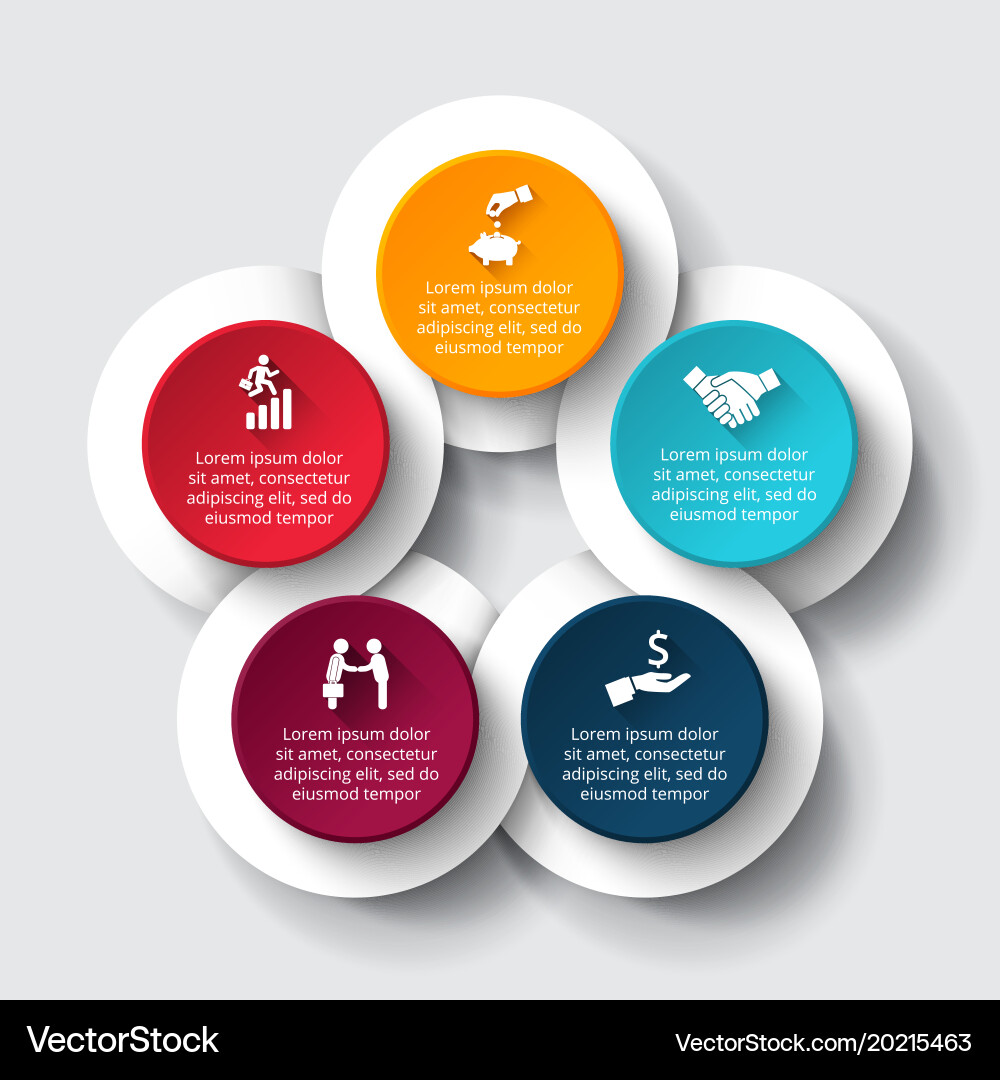 Circular Data Visualization Template vector image