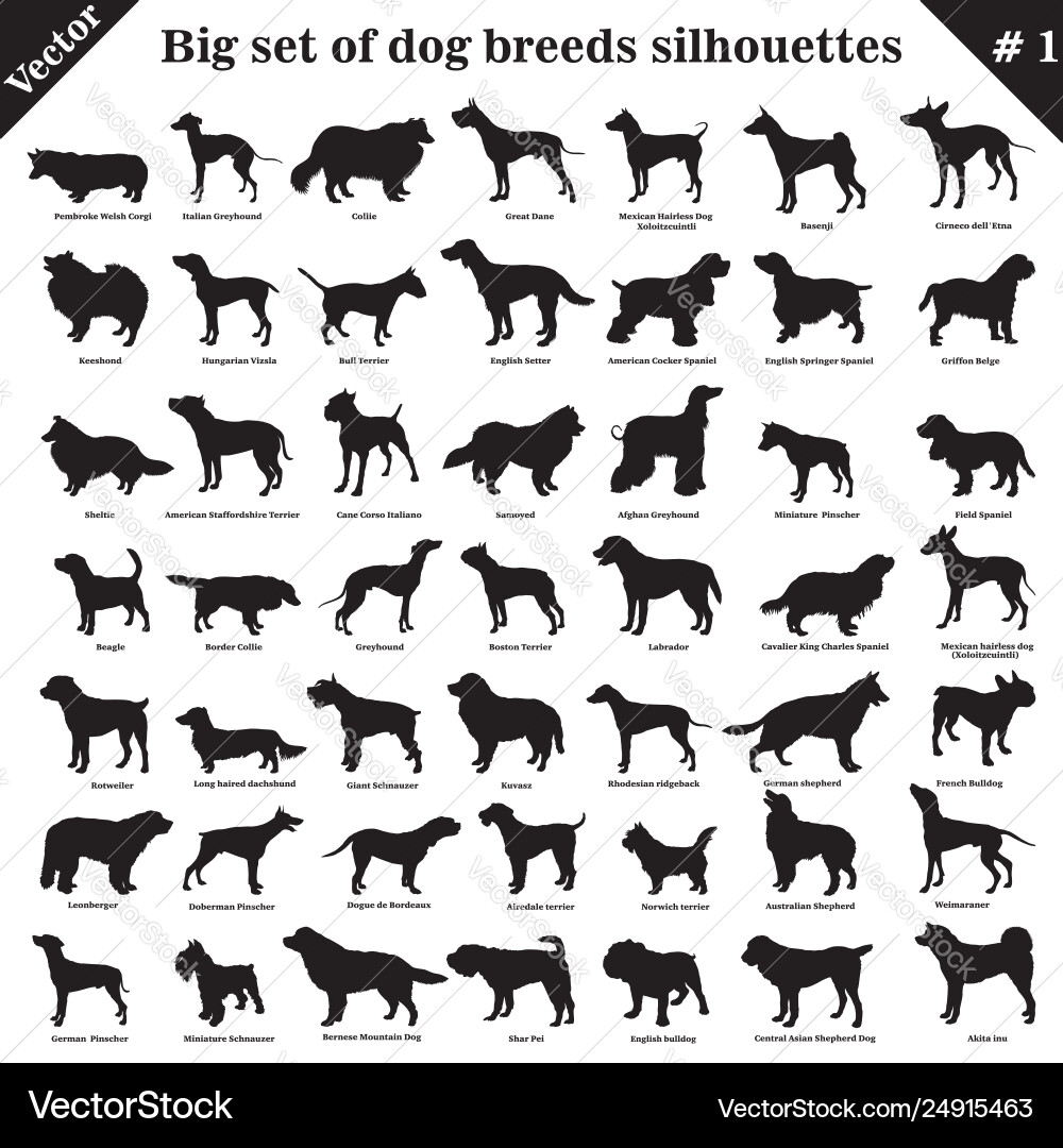 Dogs silhouettes 1 vector image