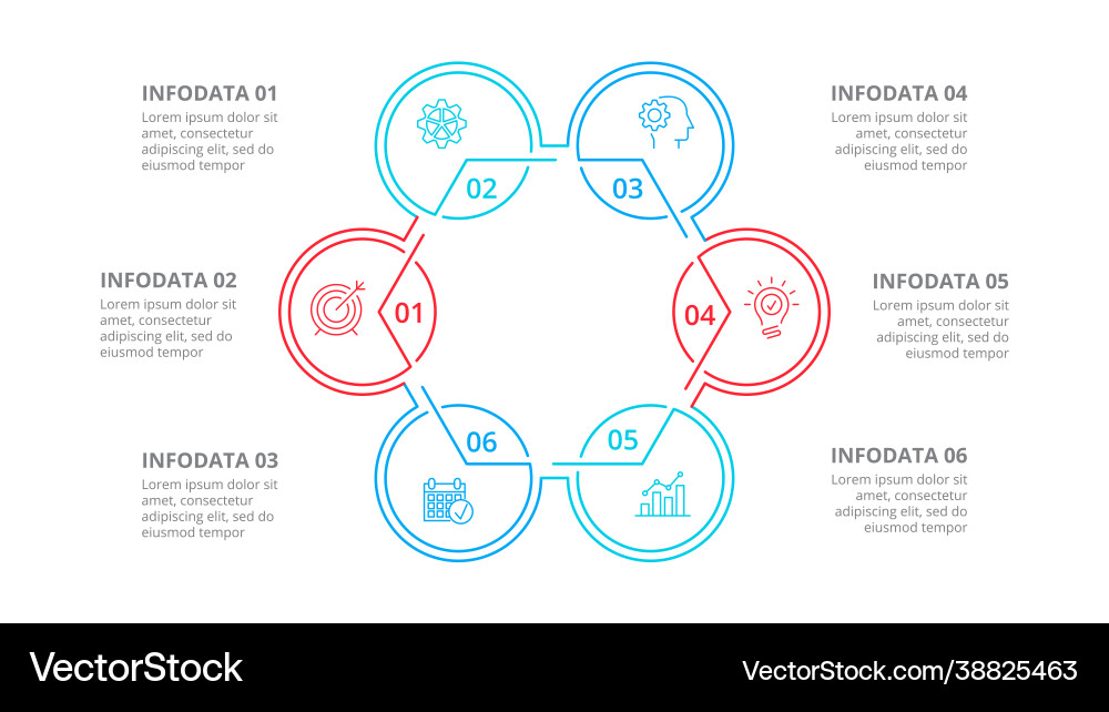 Hexagon divided into 6 parts steps or options Hexagon divided into 6 parts steps or options vector image