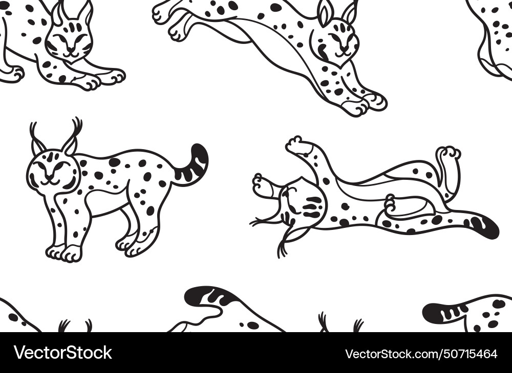 Contour seamless pattern with wildcat lynx vector image