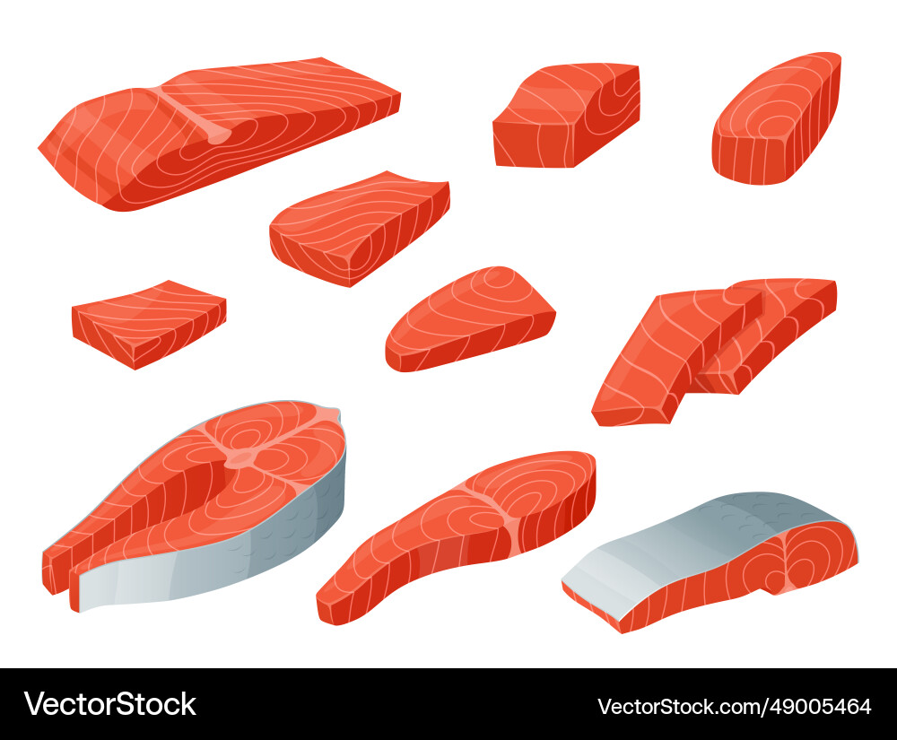 Red fish salmon pieces fillet meat and steak bones vector image