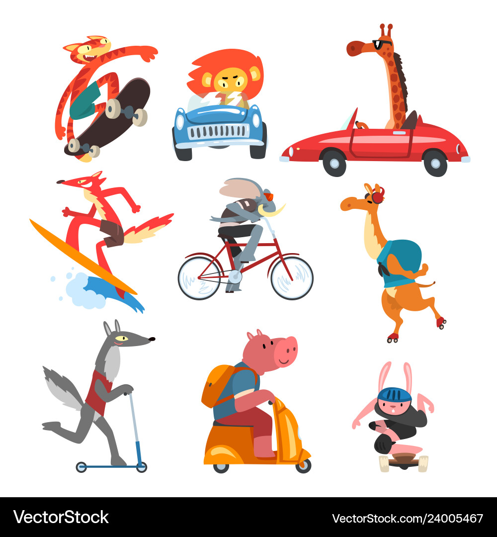 Funny Animals on Vehicles vector image