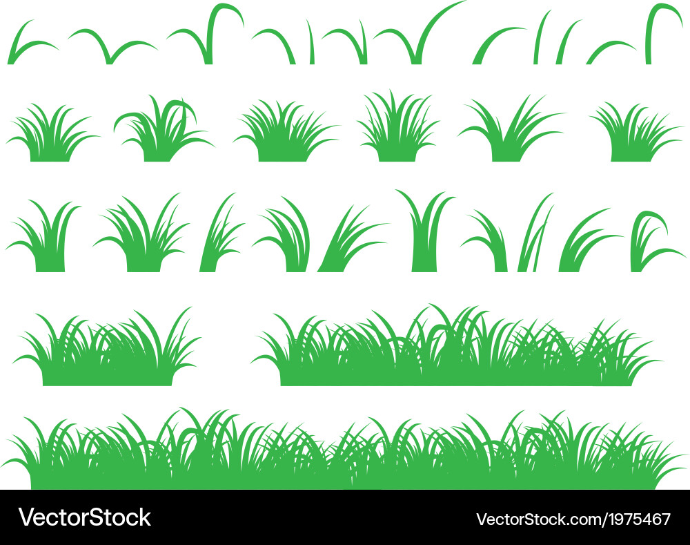 Green grass Royalty Free Vector Image - VectorStock
