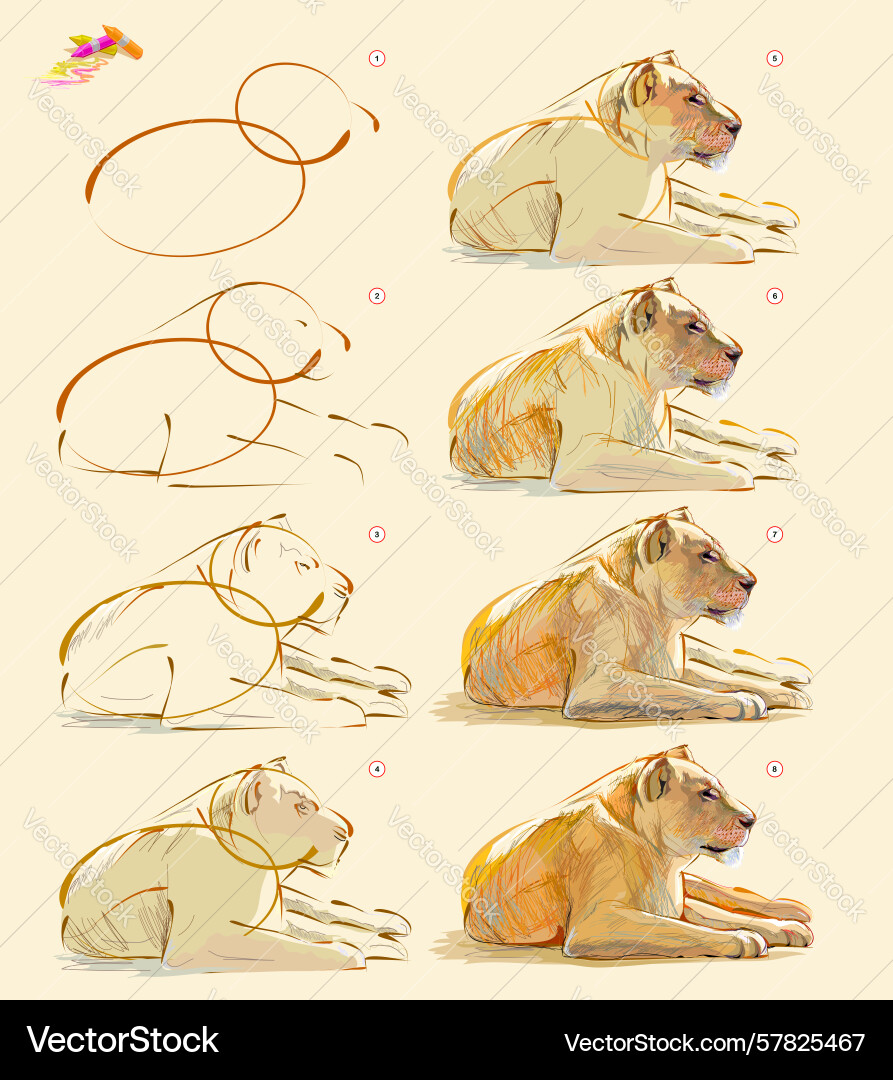Page shows how to learn draw sketch Vector Image
