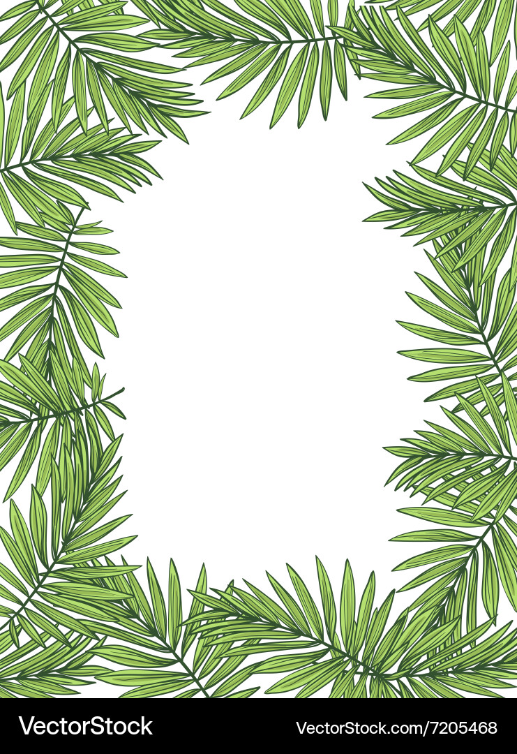 Tropical Palm Leaves on White Background vector image