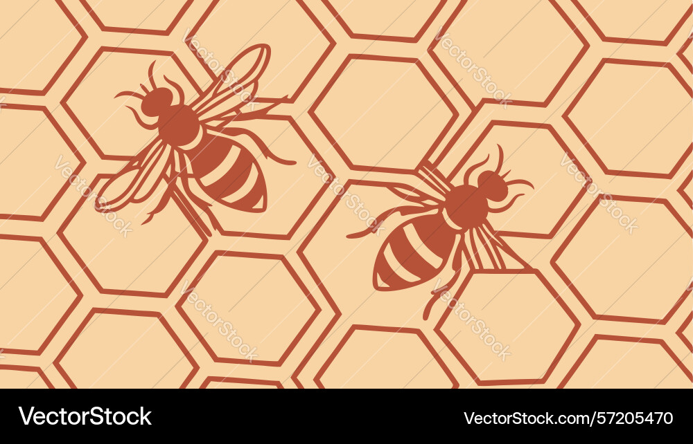 Minimalist honeycomb abstract background pattern vector image