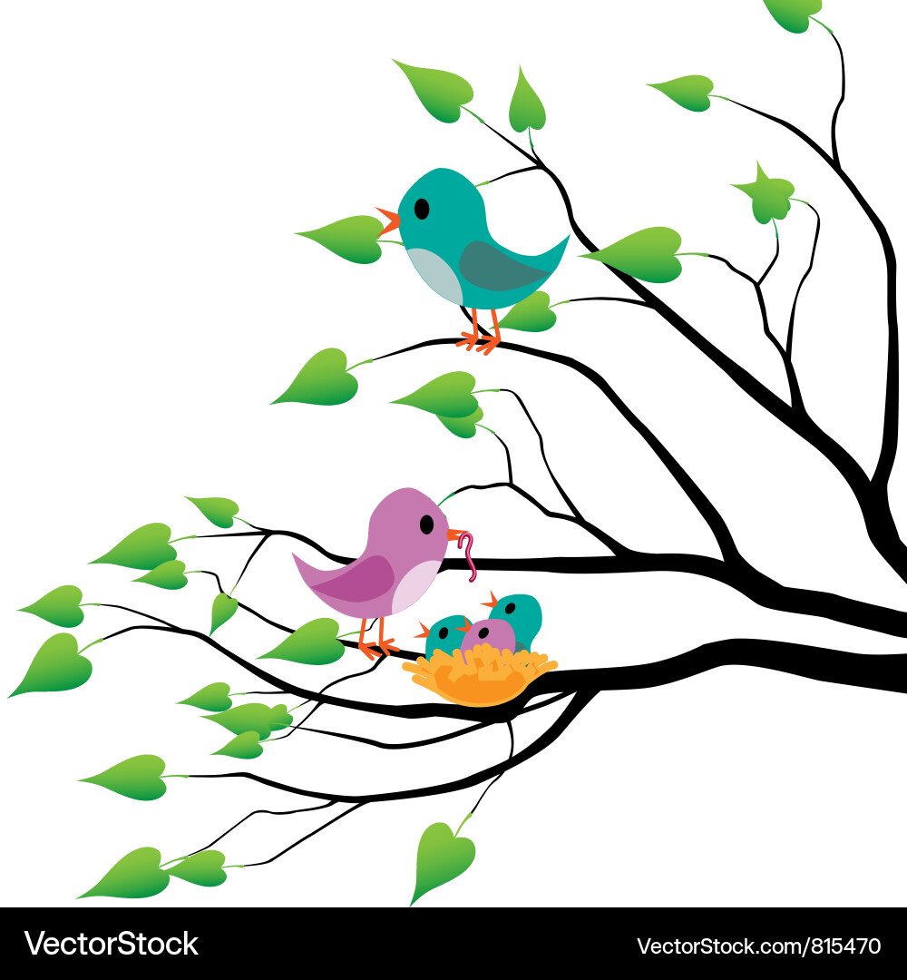 Spring Birds in Nest vector image