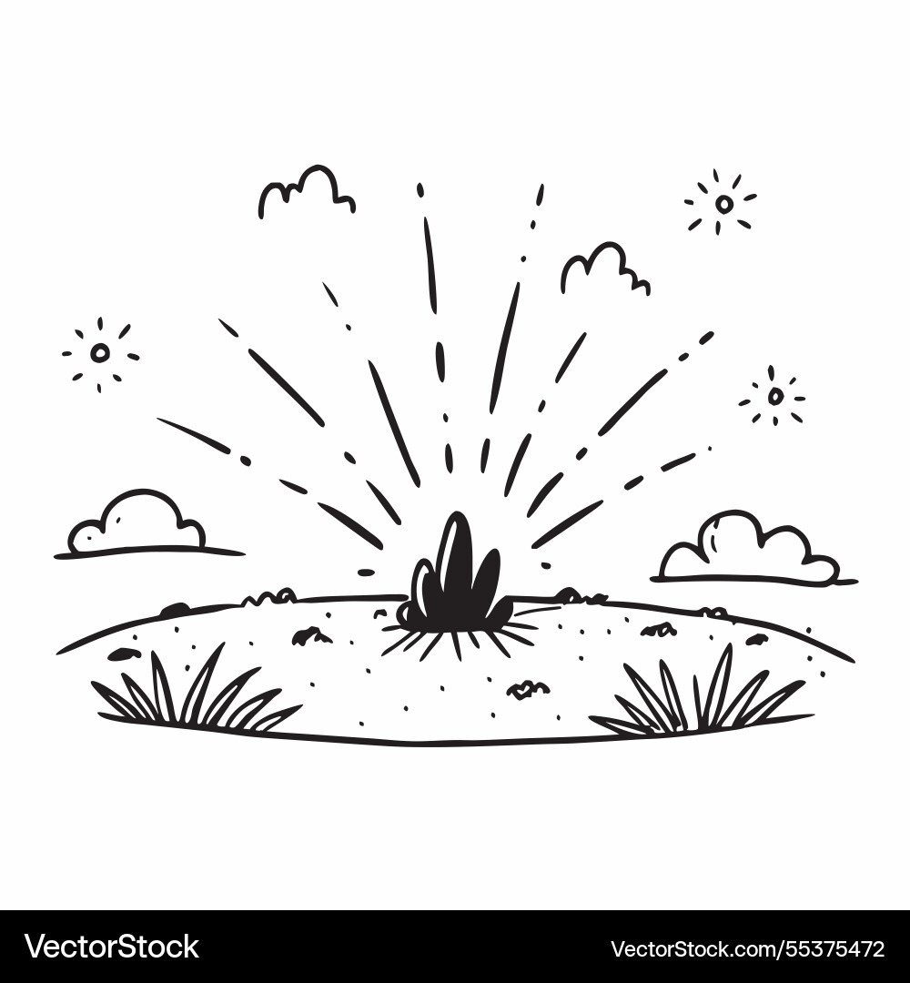 Open field with fireworks display concept Open field with fireworks display concept Vector Image