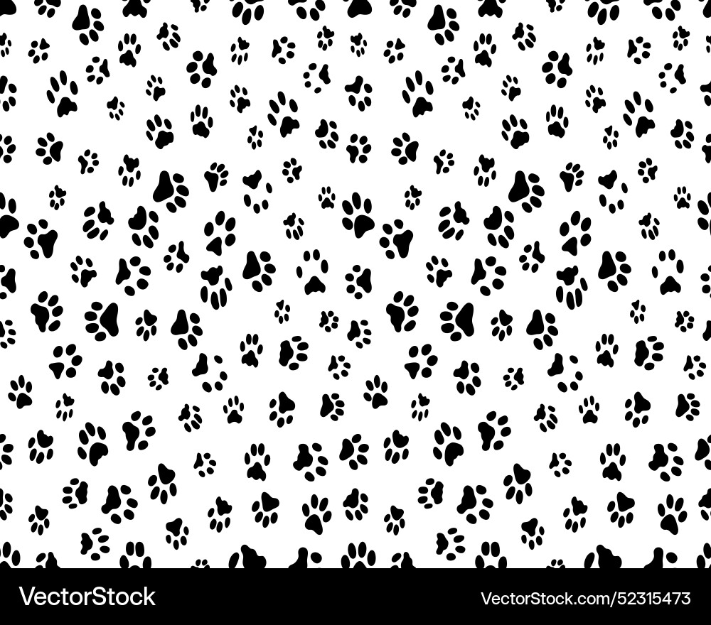Black trace of cats Vector Image