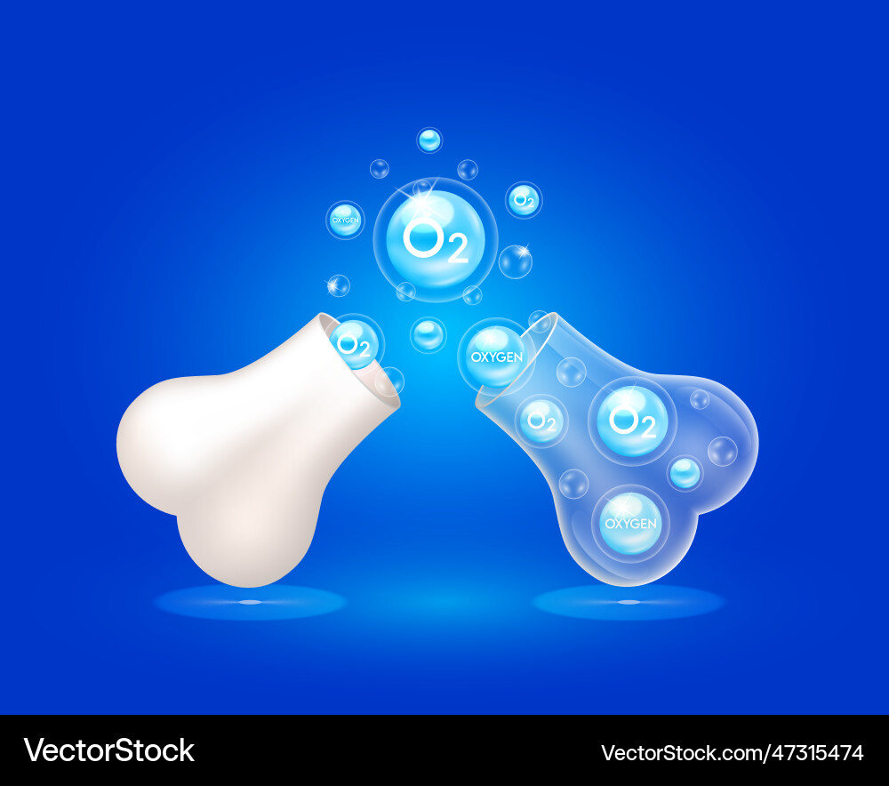 Oxygen o2 bubbles float out of the bone capsule Vector Image