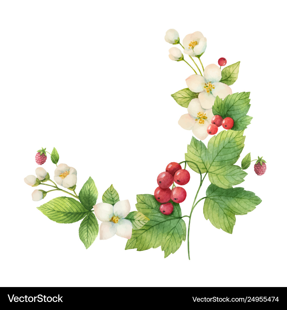 Watercolor Jasmine & Red Currant Wreath vector image