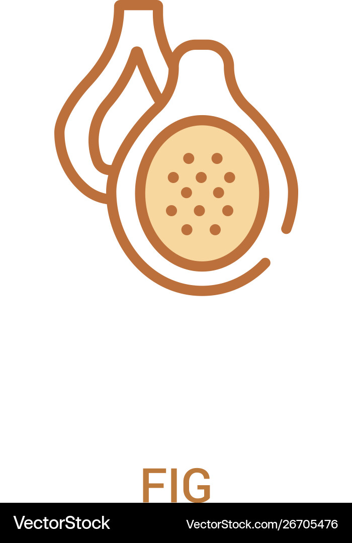 Fig concept 2 colored icon simple line element Vector Image