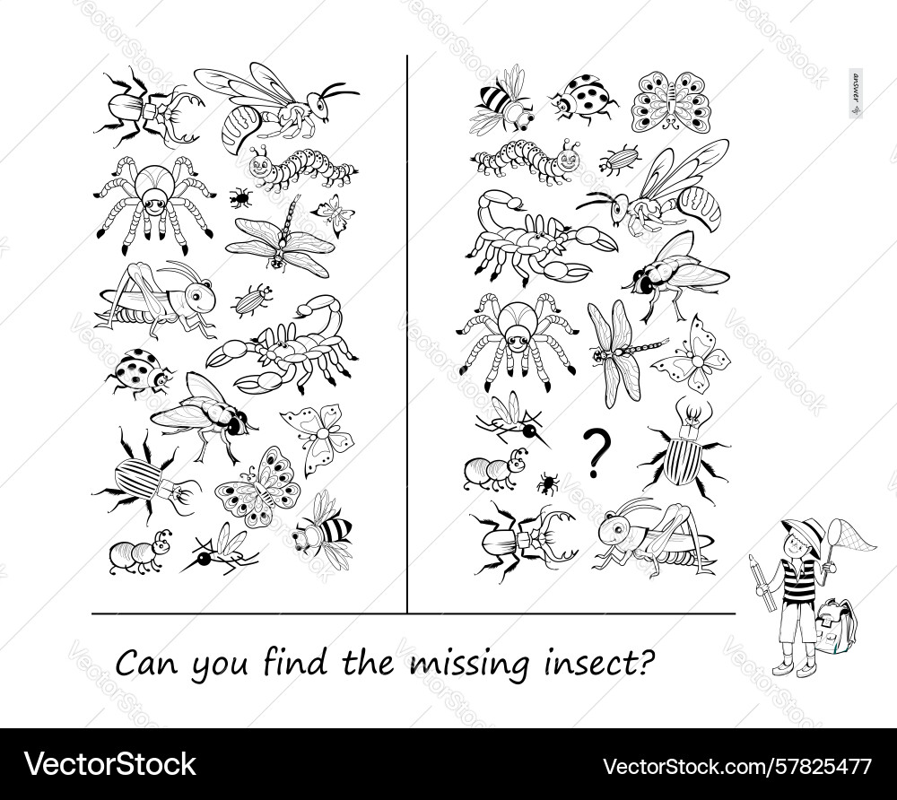 Can you find the missing insect logic puzzle vector image