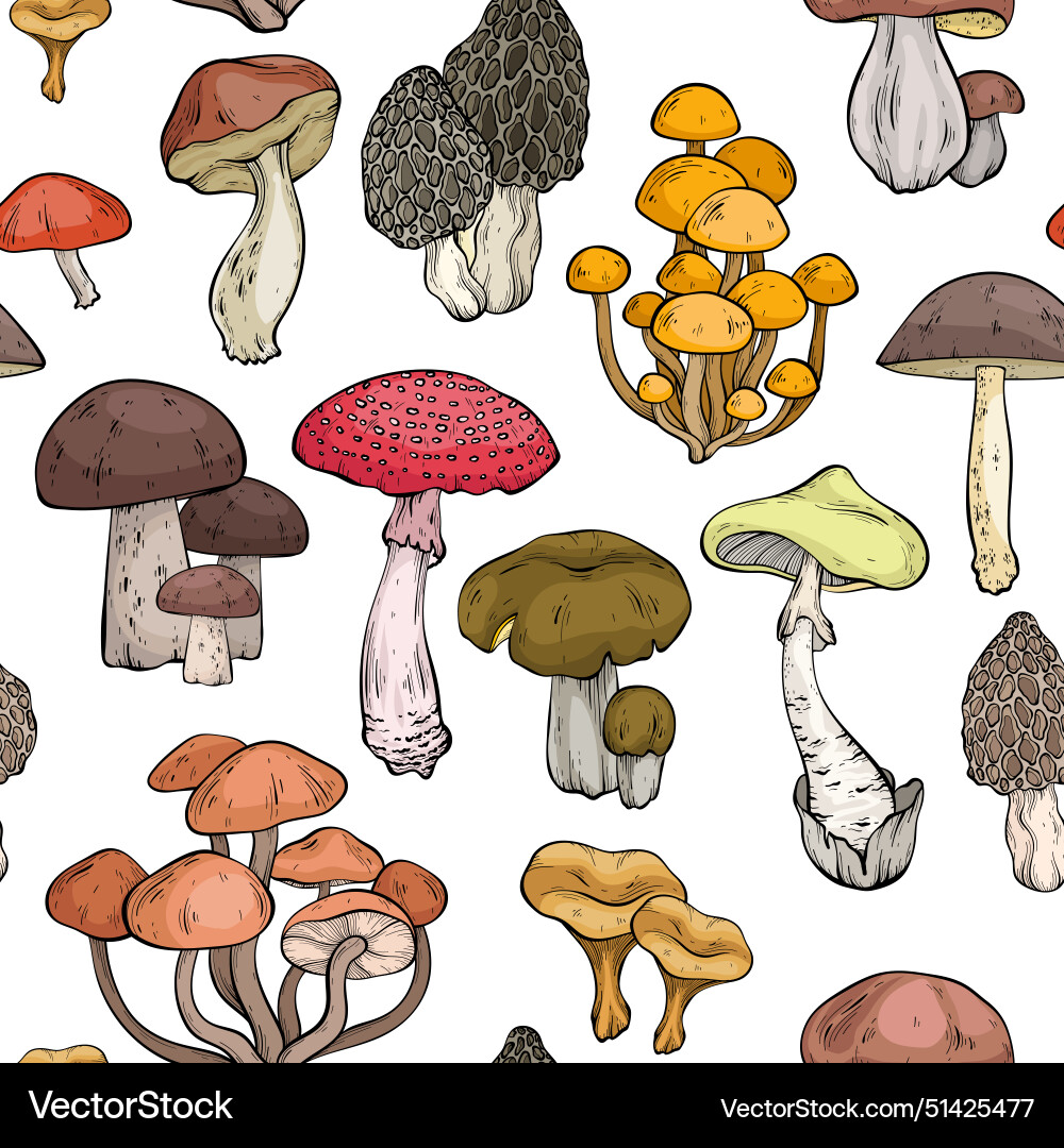 Seamless pattern with different mushrooms vector image