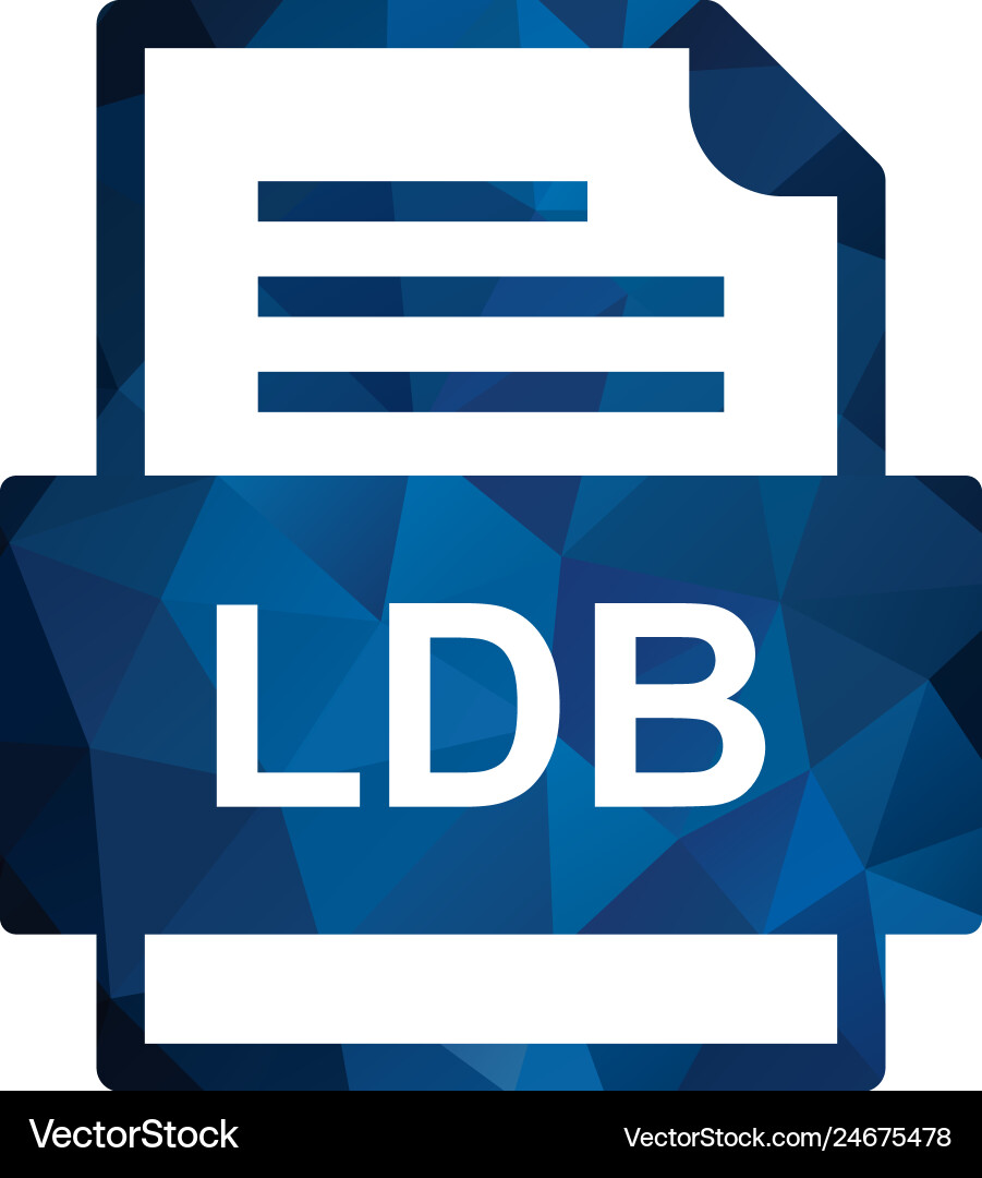 Ldb file document icon Vector Image