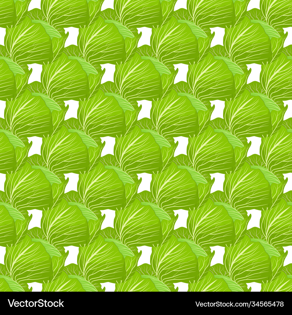 On theme bright pattern rounded cabbage On theme bright pattern rounded cabbage Vector Image