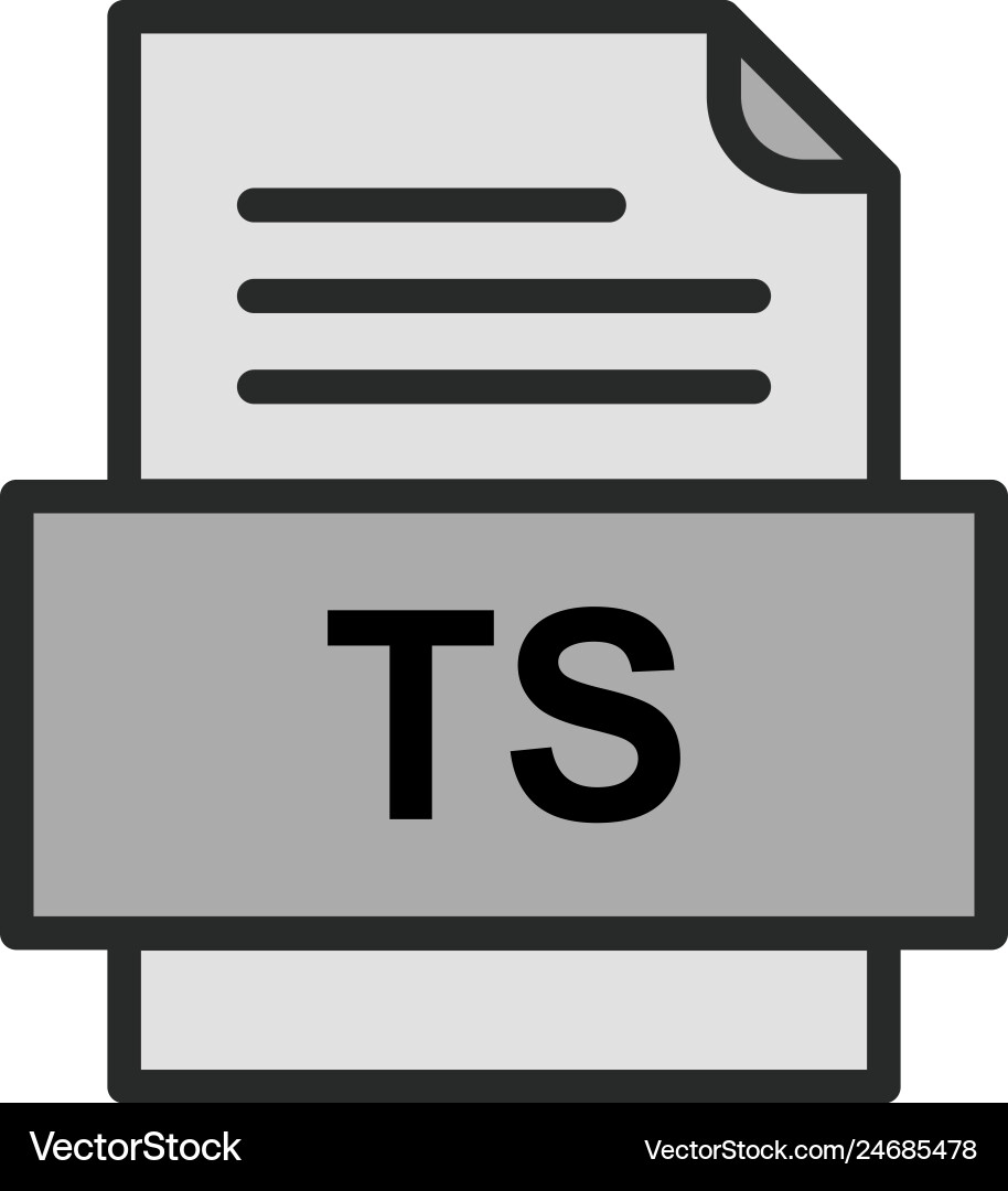 Ts file document icon Vector Image